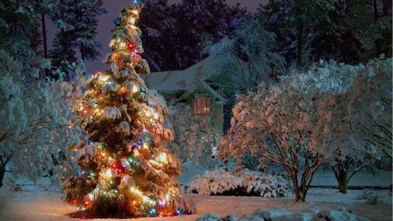 christmas-tree-blog-header-2