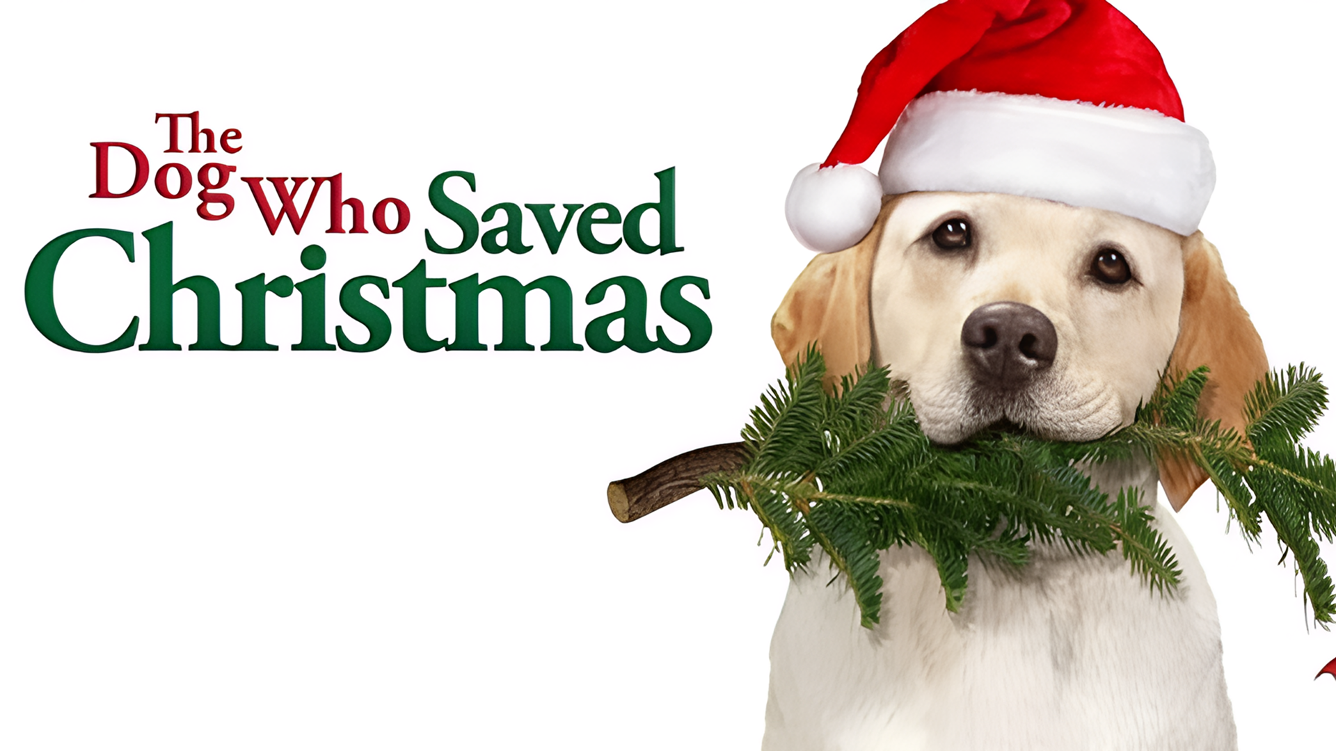 7 ENTERTAINING DOG MOVIES FOR THE CHRISTMAS SEASON